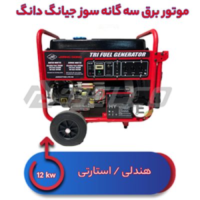 موتور برق سه گانه سوز 12 کیلووات جیانگ دانگ JD12000 THEB-LPG-NG